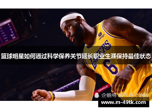 篮球明星如何通过科学保养关节延长职业生涯保持最佳状态